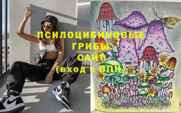 mdpv Алзамай