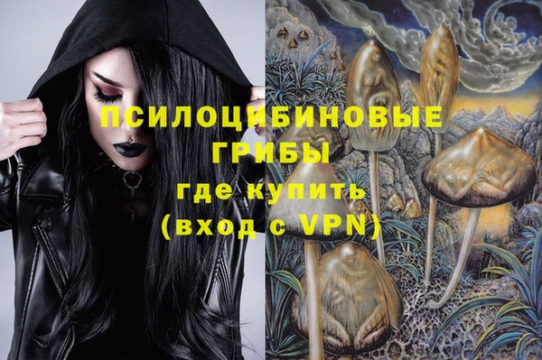 mdpv Алзамай